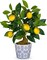15.7" Artificial Lemon Tree in Blue and White Pot, Small Faux Potted Citrus Plant with Realistic Lemons for Indoor Home Décor—Perfect for Office, Living Room Table, Desk, or Shelf Decoration